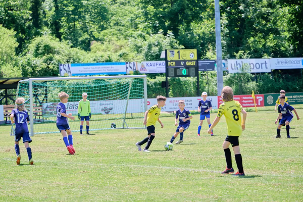 Preview campos_viola_gug_560-560