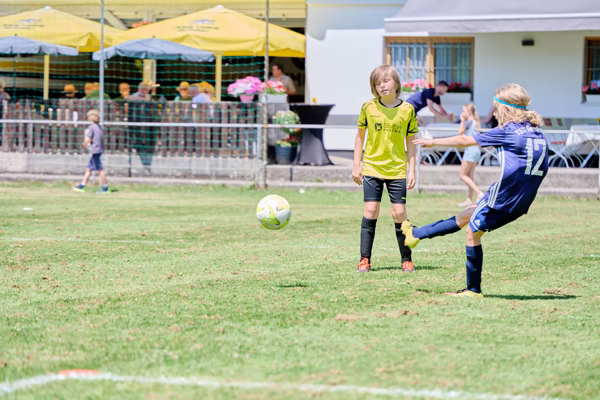 Preview campos_viola_gug_561-561