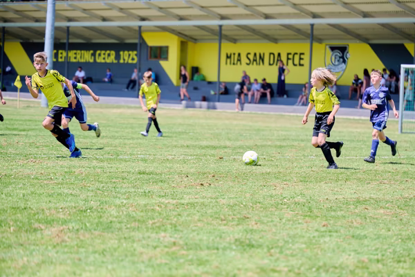 Preview campos_viola_gug_563-563