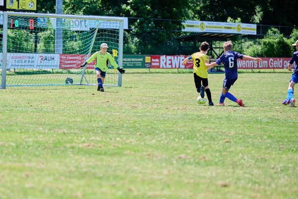 Preview campos_viola_gug_565-565