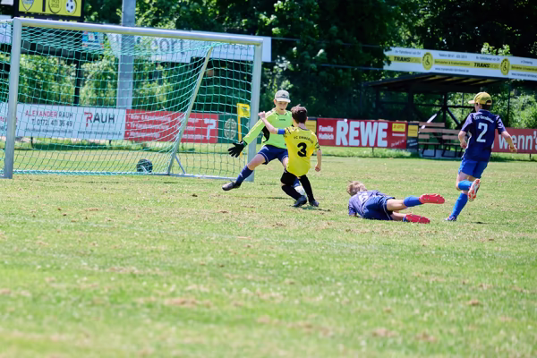 Preview campos_viola_gug_566-566