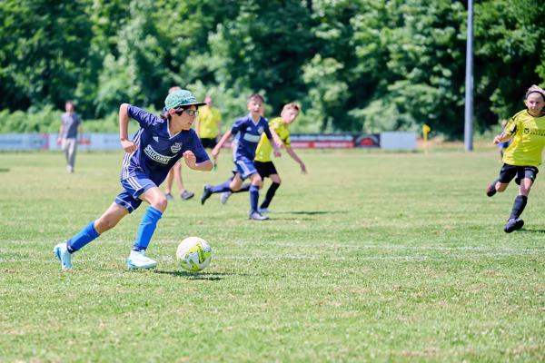 Preview campos_viola_gug_567-567