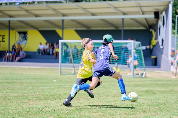 Preview campos_viola_gug_568-568