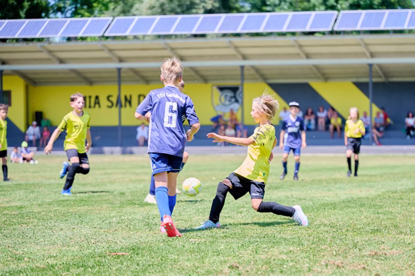 Preview campos_viola_gug_573-573