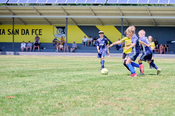 Preview campos_viola_gug_574-574