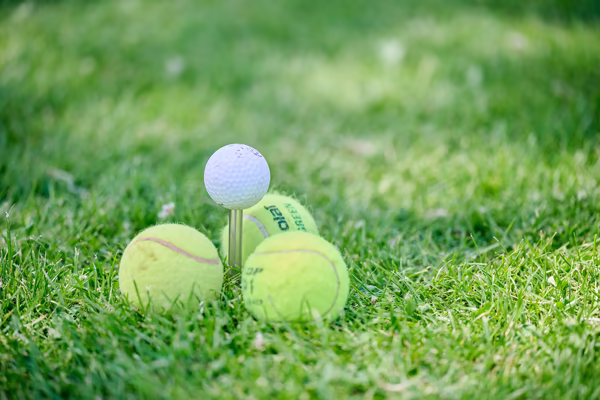 Preview campos_viola_gug_587-587