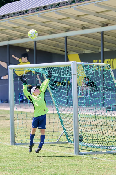 Preview campos_viola_gug_611-611