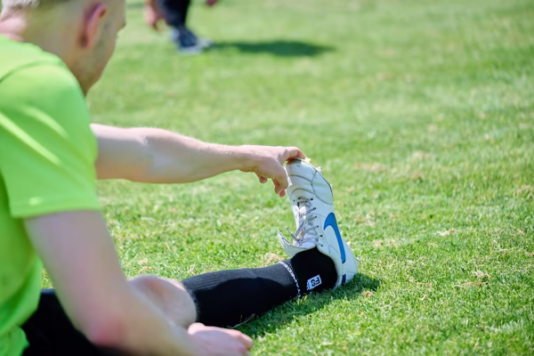 Preview campos_viola_gug_616-616