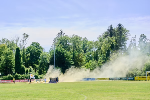 Preview campos_viola_gug_642-642