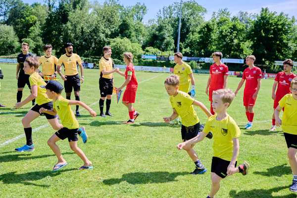 Preview campos_viola_gug_650-650