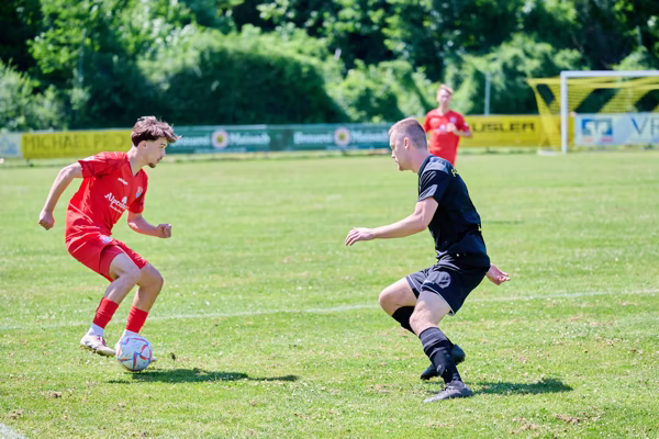 Preview campos_viola_gug_673-673