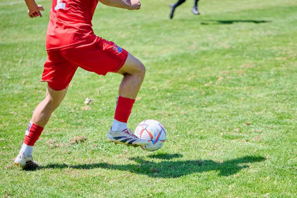 Preview campos_viola_gug_677-677