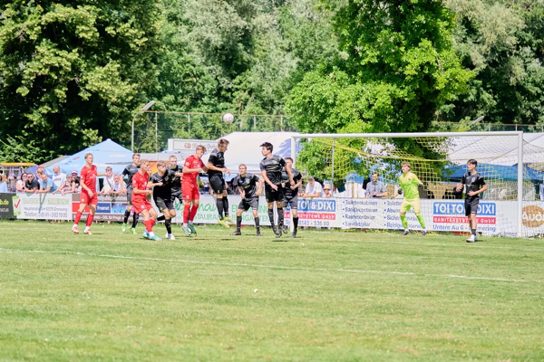 Preview campos_viola_gug_679-679