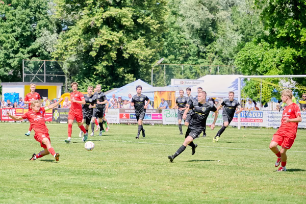 Preview campos_viola_gug_680-680