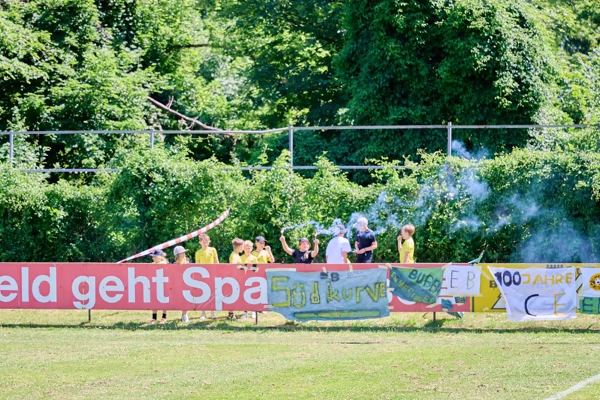 Preview campos_viola_gug_684-684