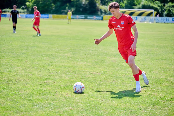 Preview campos_viola_gug_691-691