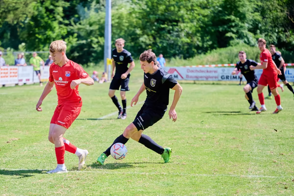 Preview campos_viola_gug_693-693