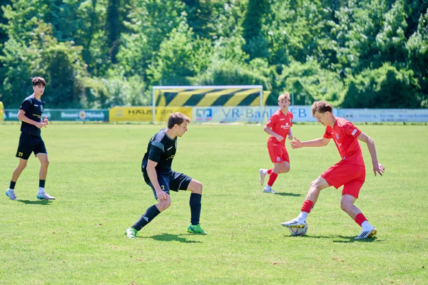 Preview campos_viola_gug_694-694