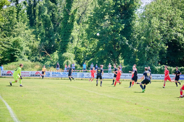 Preview campos_viola_gug_695-695