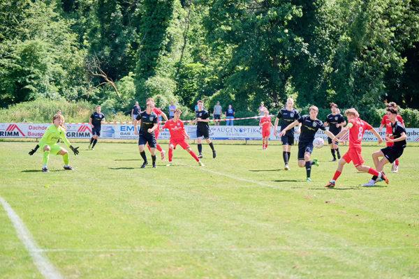 Preview campos_viola_gug_696-696