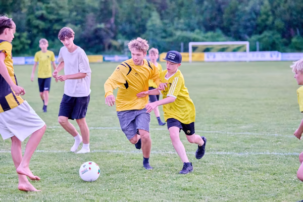 Preview campos_viola_gug_755-755