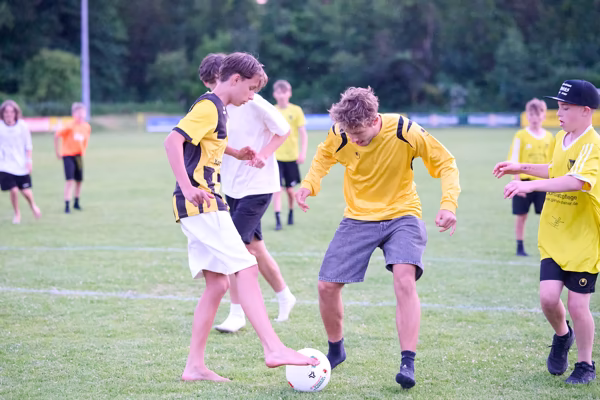 Preview campos_viola_gug_756-756