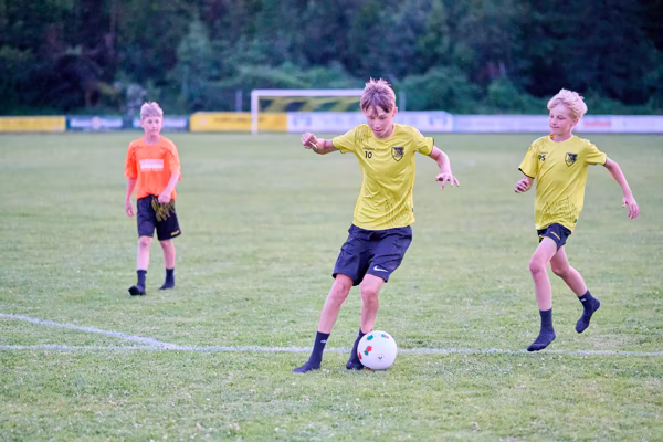 Preview campos_viola_gug_758-758