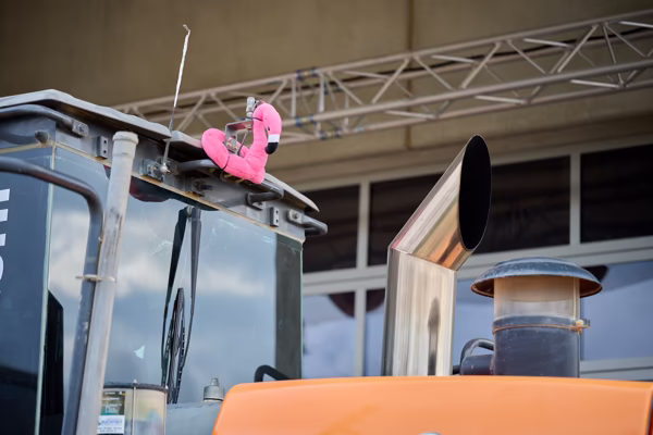 Preview campos_viola_gug_003-3