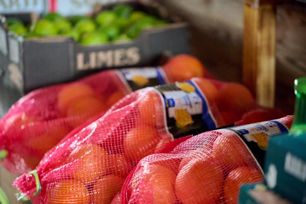 Preview campos_viola_gug_022-22