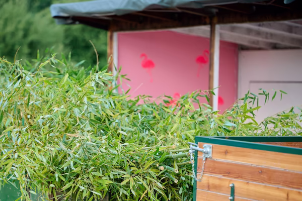 Preview campos_viola_gug_031-31