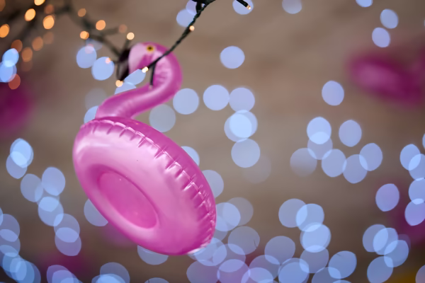 Preview campos_viola_gug_044-44