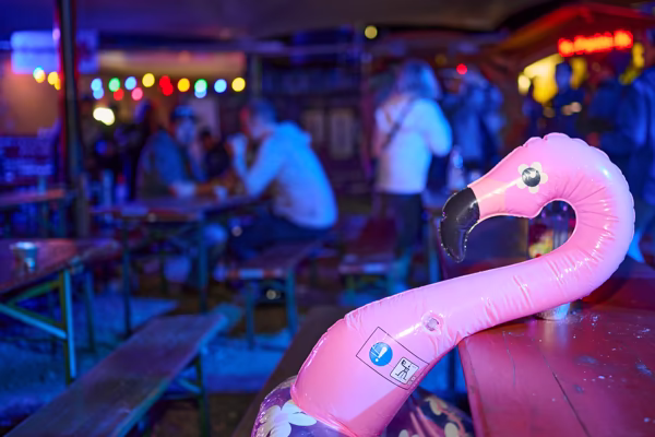 Preview campos_viola_gug_300-300