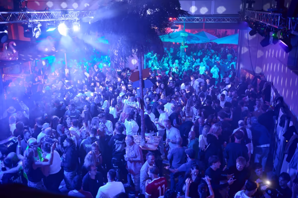 Preview campos_viola_gug_315-315