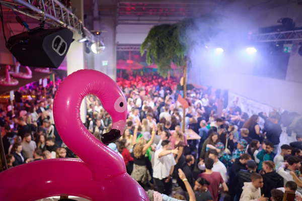 Preview campos_viola_gug_320-320