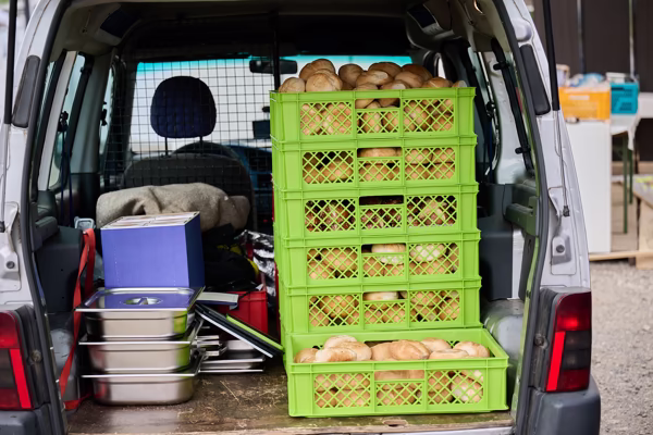 Preview campos_viola_gug_050-50