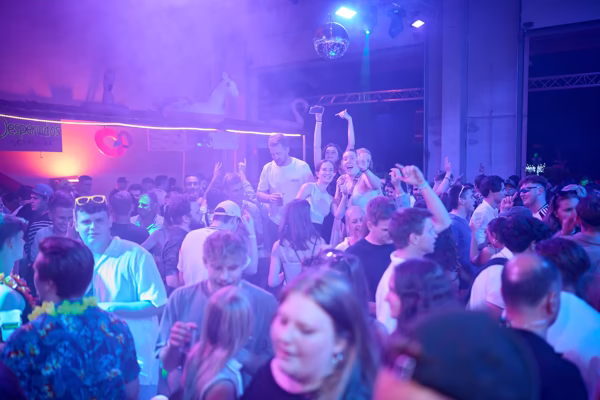 Preview campos_viola_gug_517-517