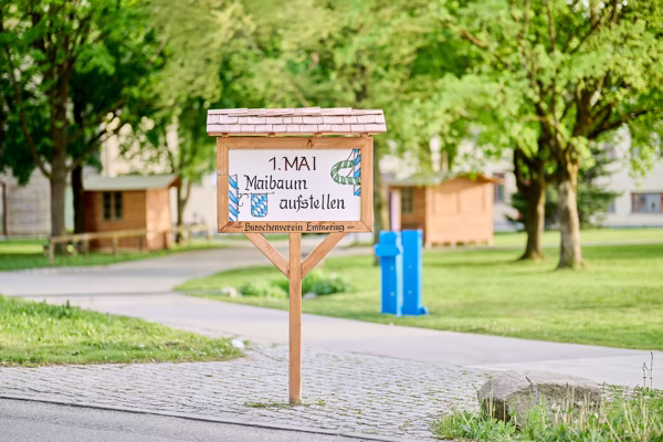 Preview campos_viola_gug_001-1