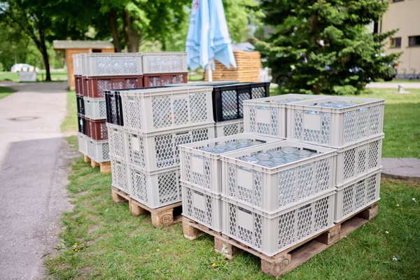 Preview campos_viola_gug_003-3