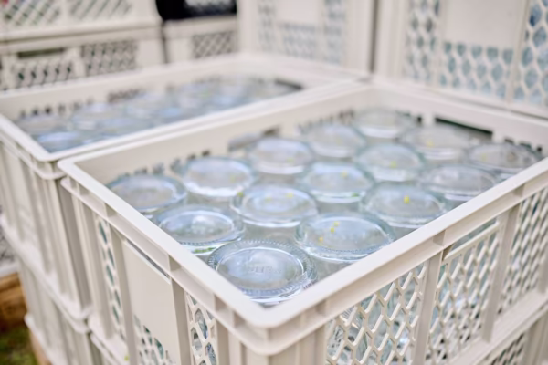 Preview campos_viola_gug_004-4