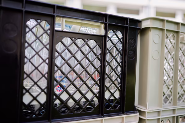 Preview campos_viola_gug_005-5