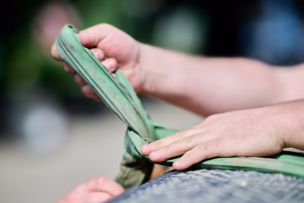 Preview campos_viola_gug_028-28