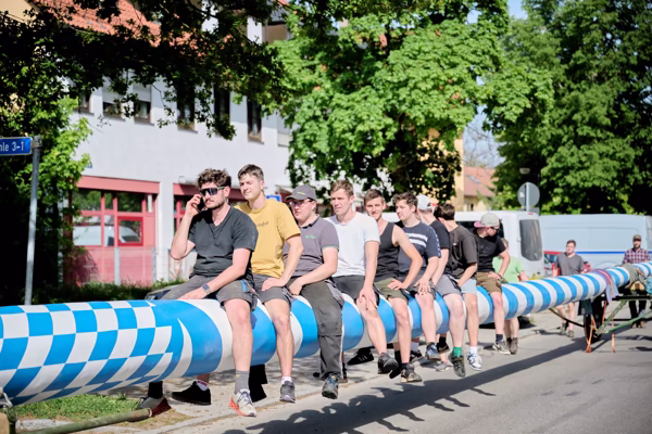 Preview campos_viola_gug_080-80