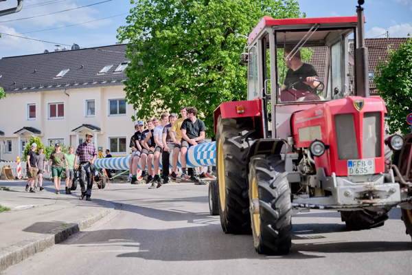 Preview campos_viola_gug_085-85