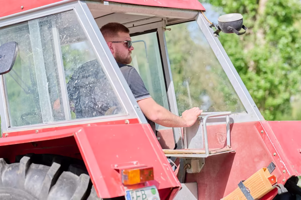 Preview campos_viola_gug_100-100