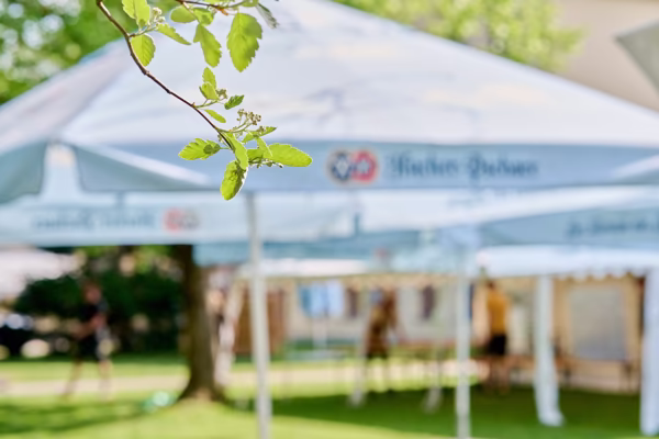 Preview campos_viola_gug_113-113