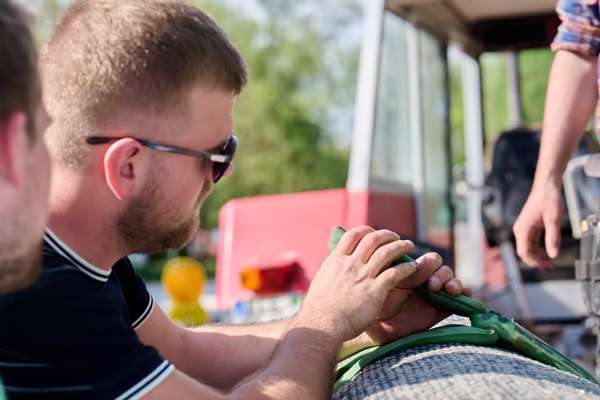 Preview campos_viola_gug_123-123