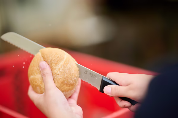 Preview campos_viola_gug_197-197