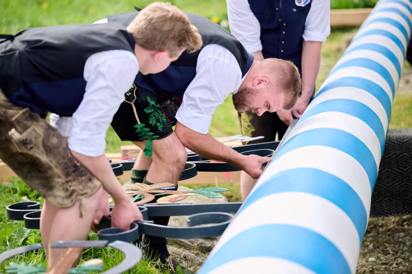 Preview campos_viola_gug_238-238