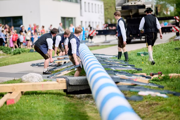 Preview campos_viola_gug_245-245