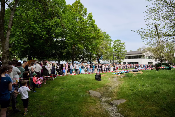 Preview campos_viola_gug_251-251